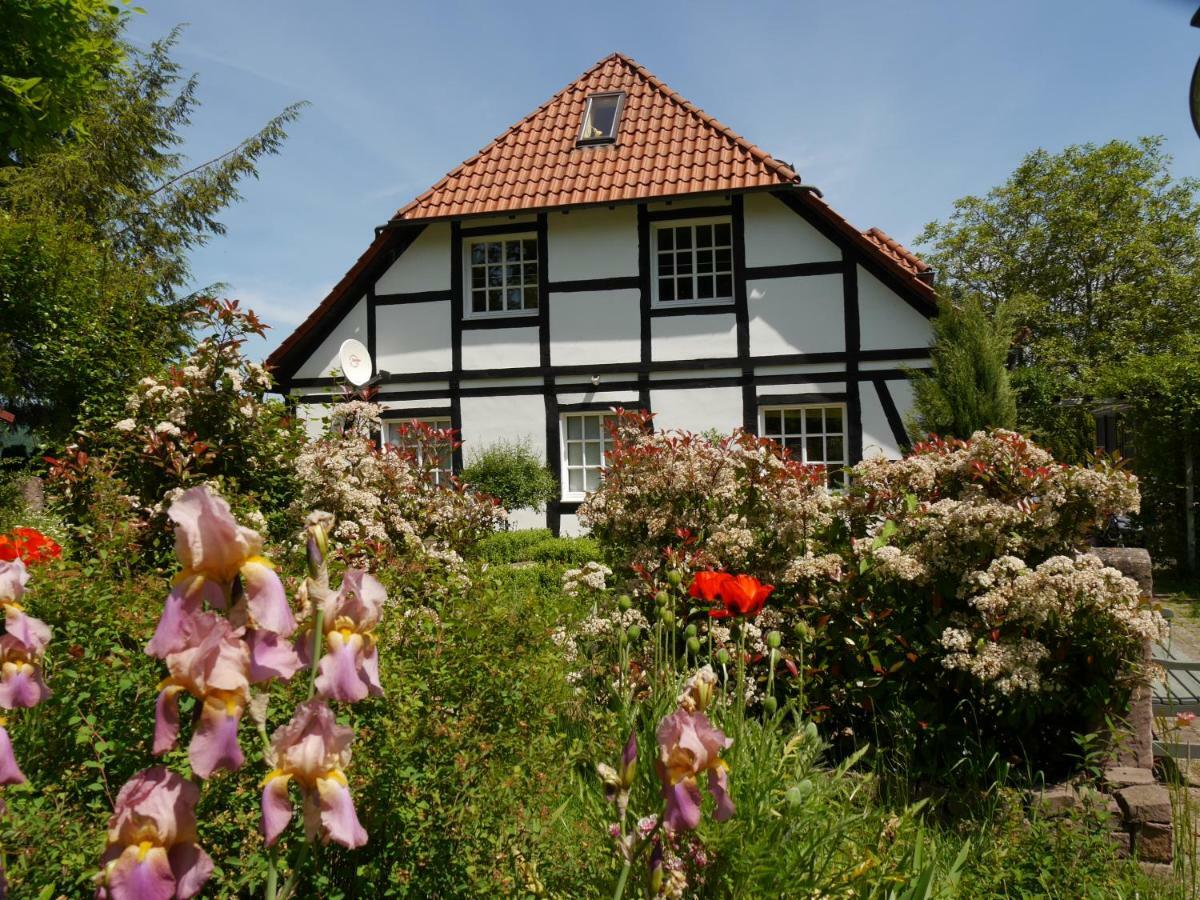 Ferienwohnung Weserblick Polle Exterior foto